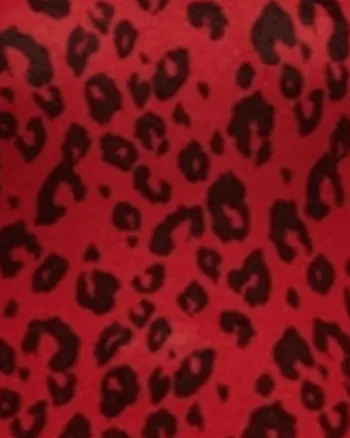 City Chic Women's Trendy Plus Leopard-Print Sweater Red Size 20W | Red