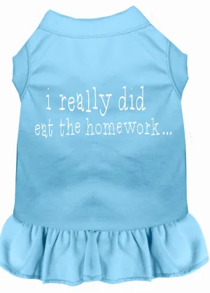 I Really Did Eat The Homework Screen Print Dress Baby Blue Sm